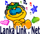 LankaLink.Net